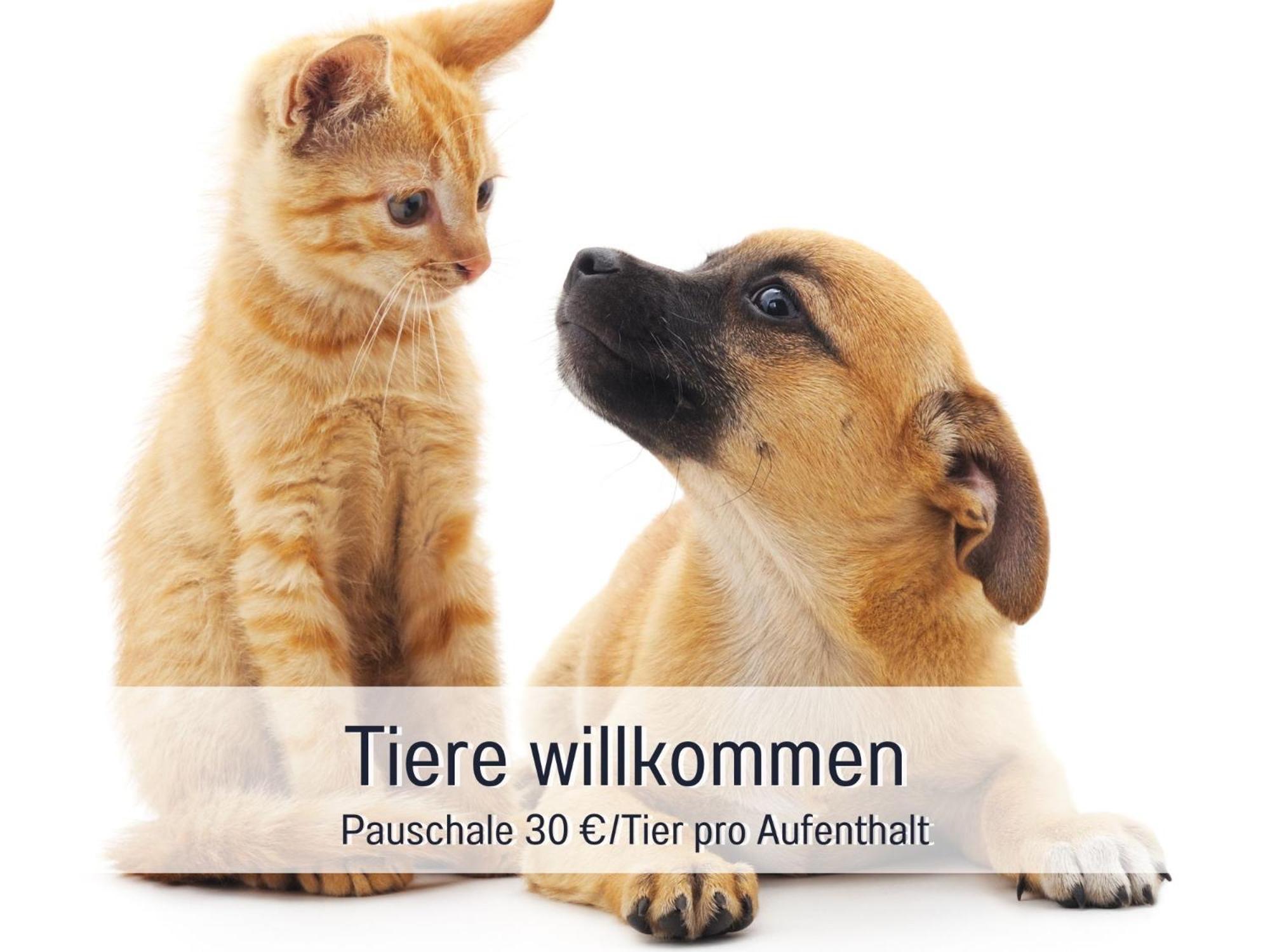 Sonnenterrasse - 3 Schlafzimmer, Whirlpool & Alpenblick - Perfekt Fuer Romantik Oder Familienurlaub Mit Kind , Hund Willkommen By Ferienwohnenamsee - Uberlingen Exterior foto