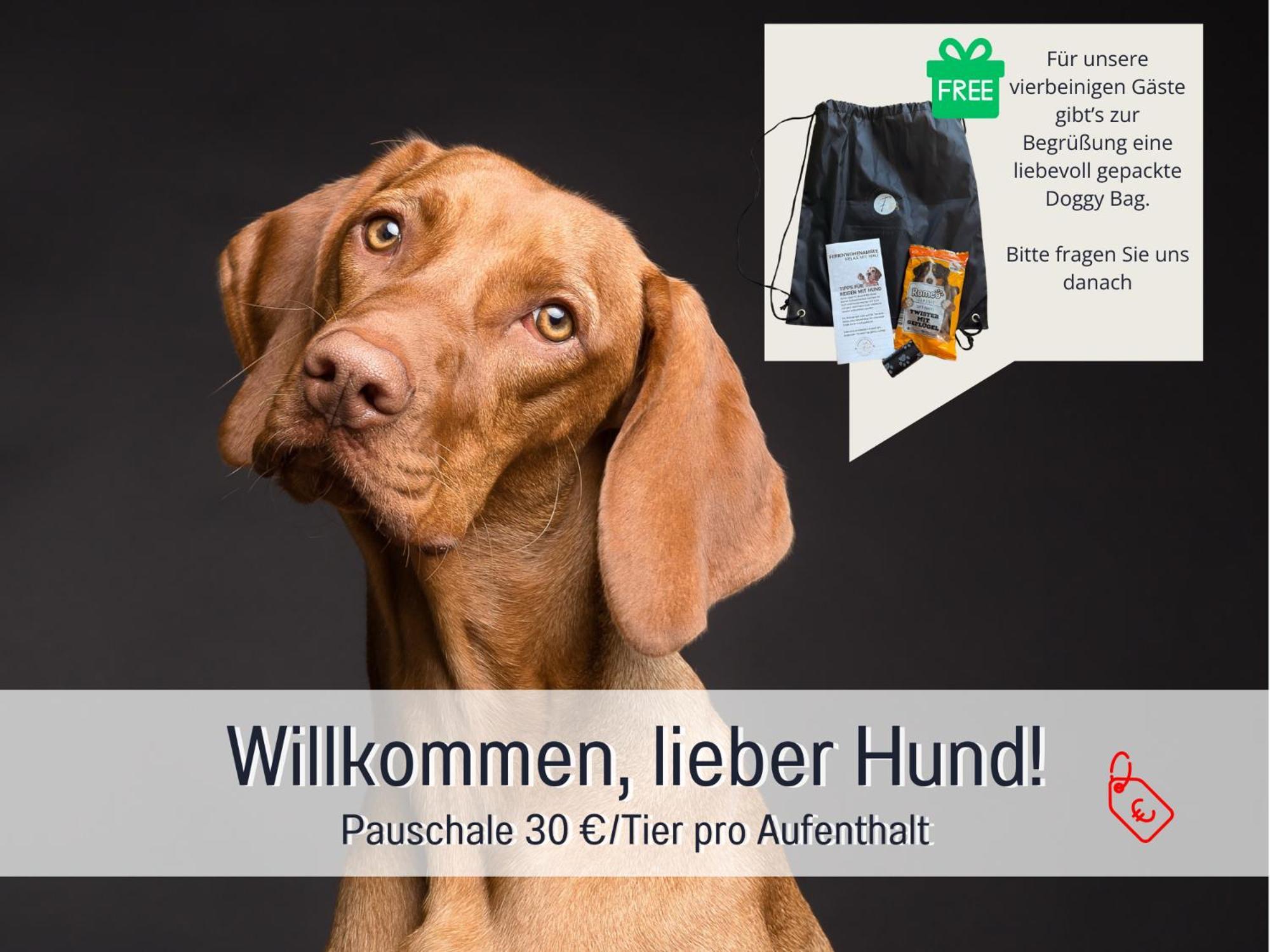 Sonnenterrasse - 3 Schlafzimmer, Whirlpool & Alpenblick - Perfekt Fuer Romantik Oder Familienurlaub Mit Kind , Hund Willkommen By Ferienwohnenamsee - Uberlingen Exterior foto