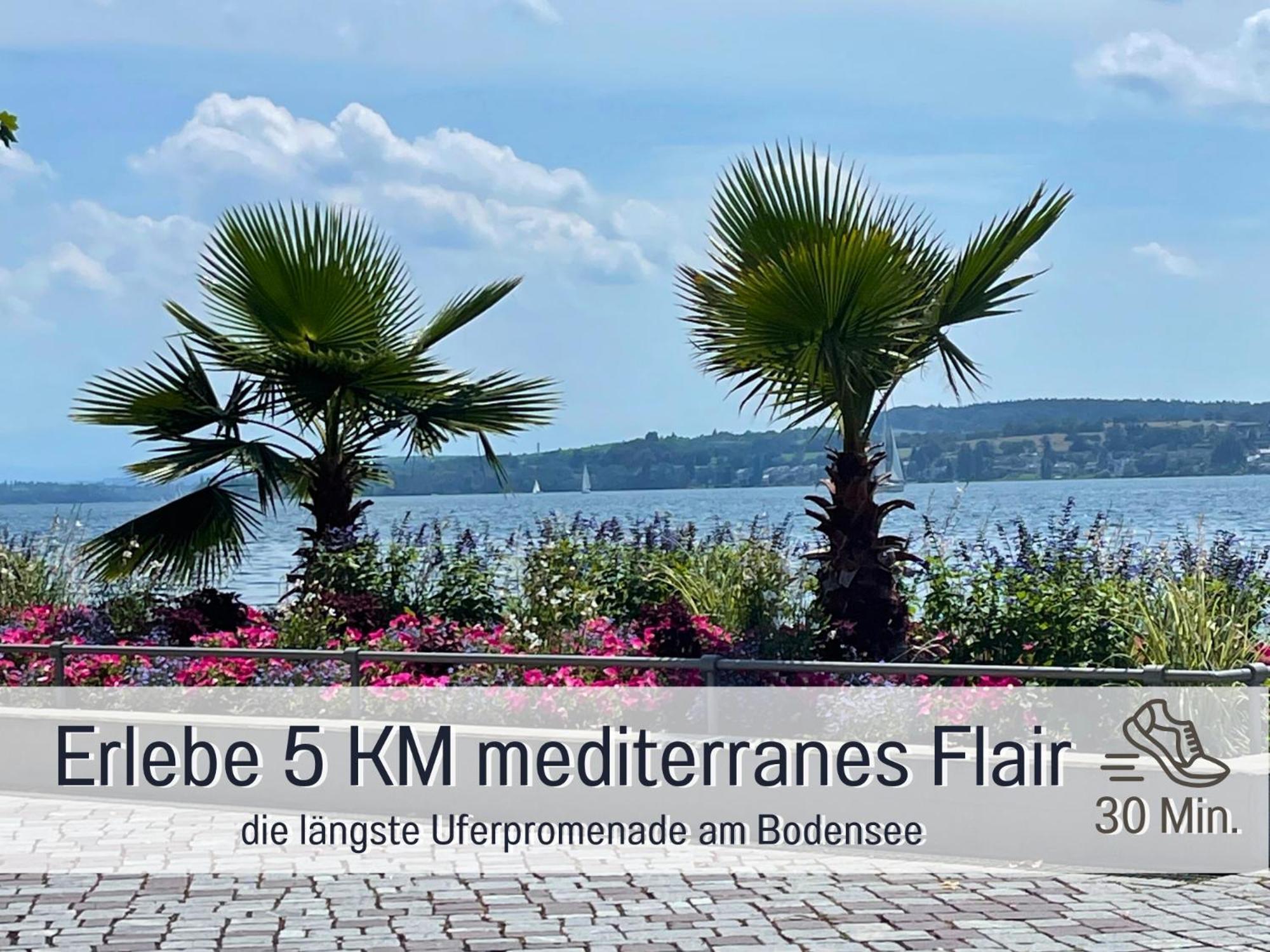Sonnenterrasse - 3 Schlafzimmer, Whirlpool & Alpenblick - Perfekt Fuer Romantik Oder Familienurlaub Mit Kind , Hund Willkommen By Ferienwohnenamsee - Uberlingen Exterior foto
